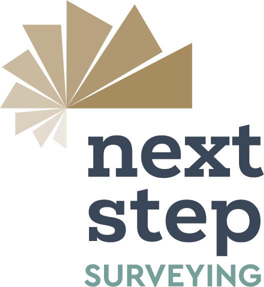 Next Step Surveying Logo